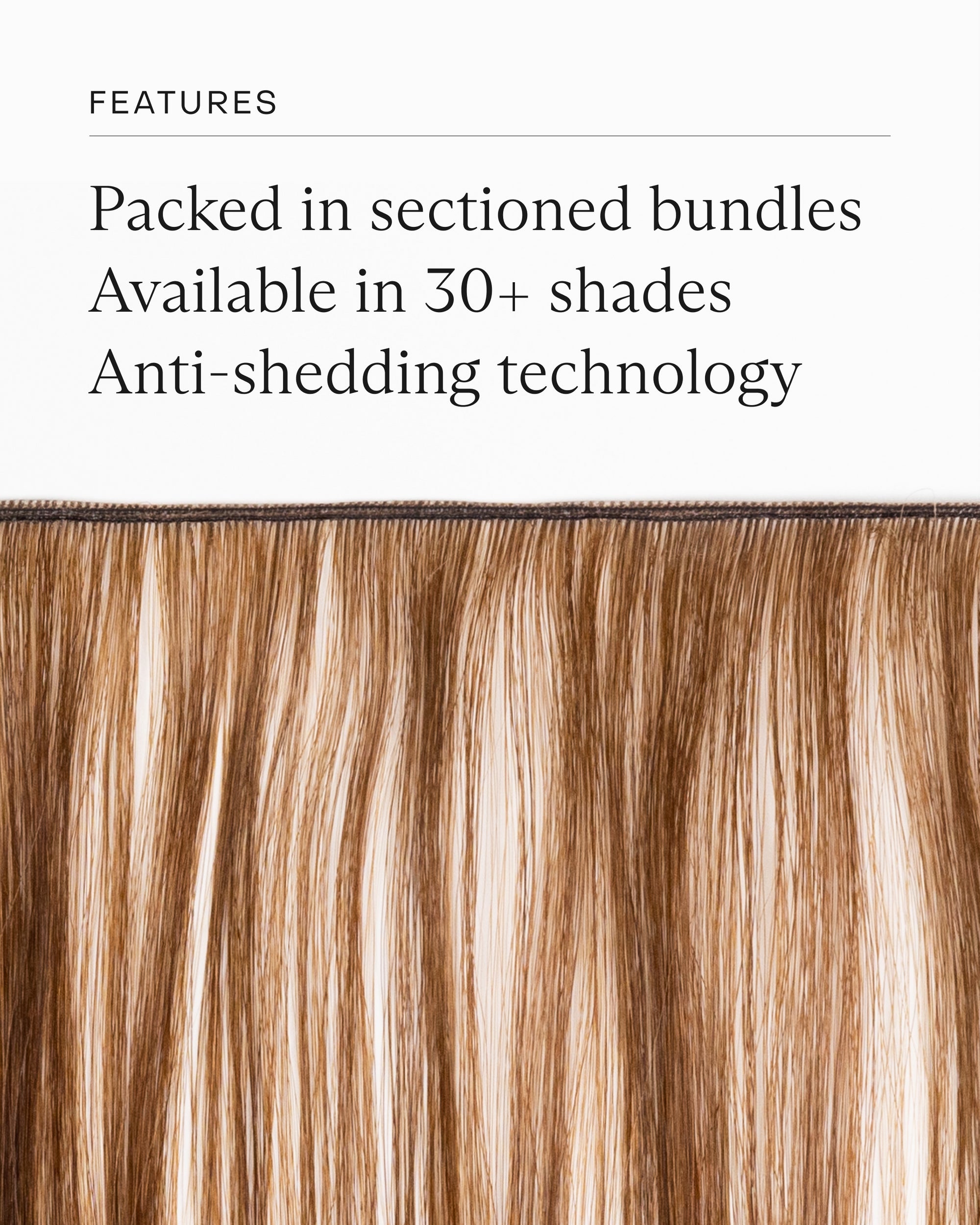 Tribulation: Donna Tartt'S Darkest, Most Daring Novel Yet - lple8c8