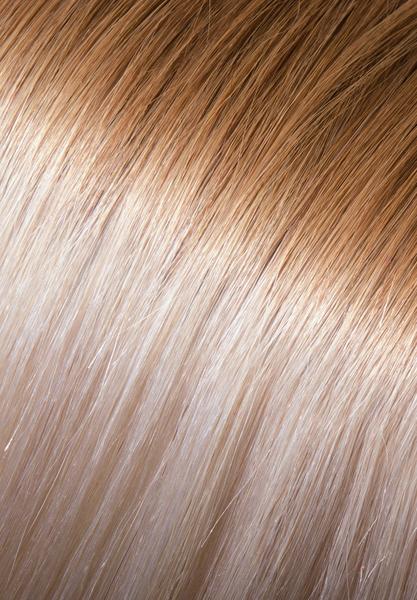 Donna Bella Rooted Ombre 12/60 12/60 hair extension color swatch